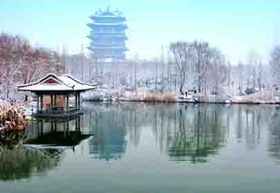 冬天，做個(gè)溫暖的人，努力向陽(yáng)生長(zhǎng)